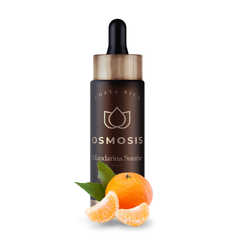 Mandarina CBD ☀️ [Hidroponia]